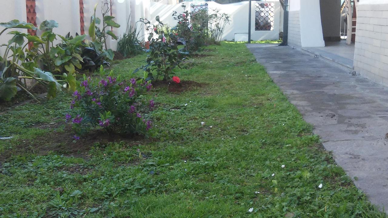 Florinda B&B Viareggio Ngoại thất bức ảnh