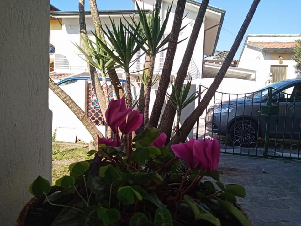 Florinda B&B Viareggio Ngoại thất bức ảnh