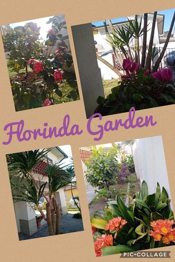 Florinda B&B Viareggio Ngoại thất bức ảnh
